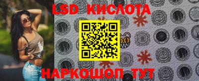 индика Кулебаки